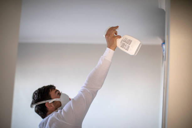Best White Mold Remediation in Cleveland, FL
